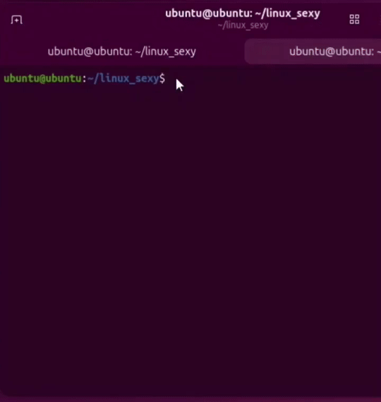 Terminal After Dark