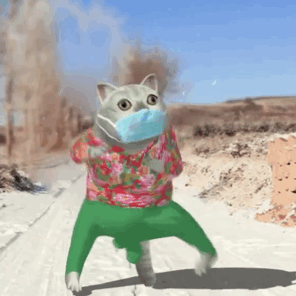 disco
