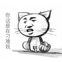 你这是在刁难我