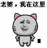 老婆.我在这里