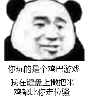 你玩的是个鸡巴游戏.我在键盘上撒把米鸡都比你走位骚