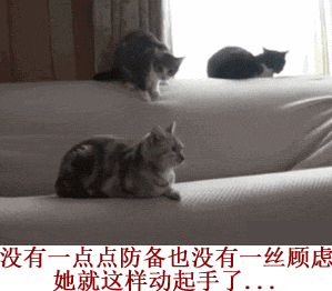 没有一点点防备也没有一丝顾虑，她就这样动起手了。。。