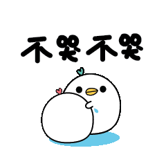 不哭不哭 - 小鸡仔阿白