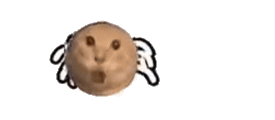 小猫蜘蛛爬行表情包