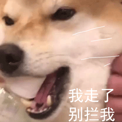 柴犬小Q来斗图