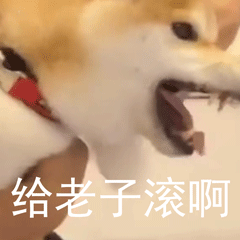 柴犬小Q来斗图