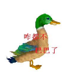 咋都不巴巴了?(鸭子)