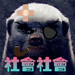 社会社会