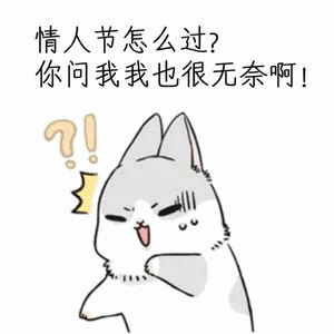 情人节怎么过?你问我我也很无奈啊!