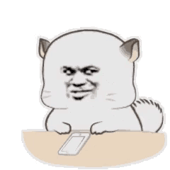 玩手机