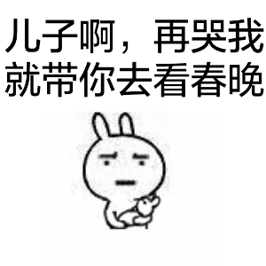 儿子啊，再哭我就带你去看春晚