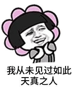 我从未见过如此天真之人