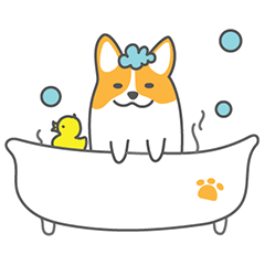 洗澡澡