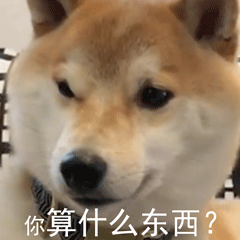 柴犬小Q来斗图