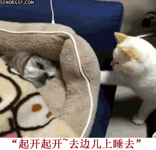 起开起开，去边上睡去