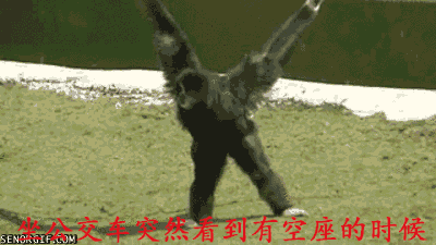 坐公交车突然看到有空座的时候