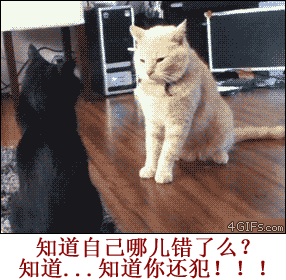 知道自己哪里错了么？知道。。。知道你还犯！！！