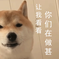 柴犬小Q来斗图