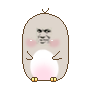 小土豆金馆长