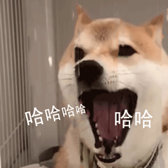 柴犬小Q来斗图