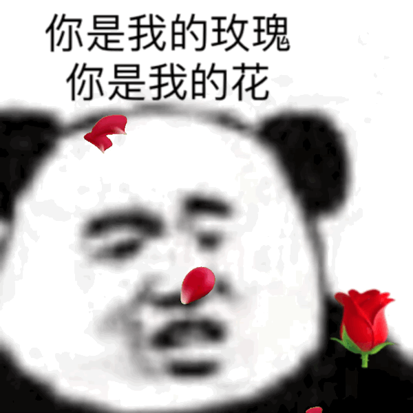 你是我的玫瑰你是我的花