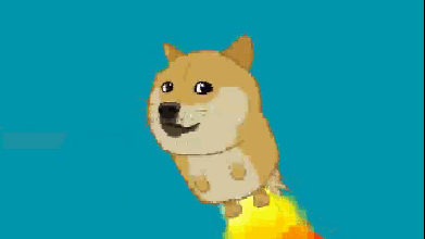 doge 变身火箭喽