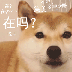 柴犬小Q来斗图