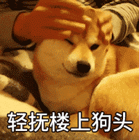 轻抚楼上狗头