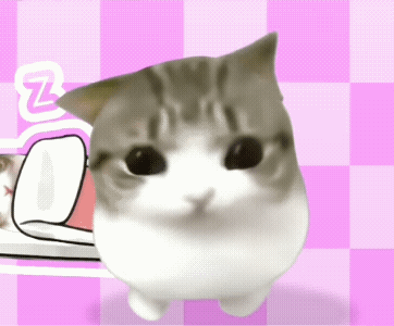 被生活磨平了棱角小猫表情包