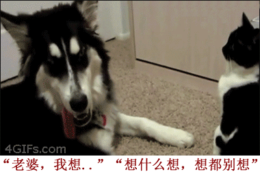 『老婆，我想。。。』 『想什么想，想都别想』