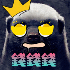 钱钱钱