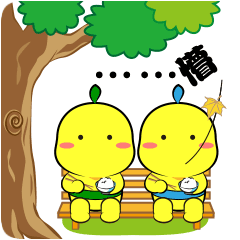 懵逼了