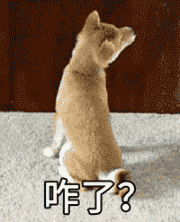 咋了？