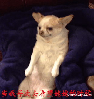 当我每次去看望姥姥的时候