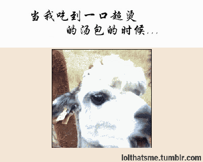 当我吃到一口超烫的汤包的时候