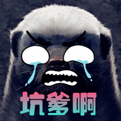 坑爹啊