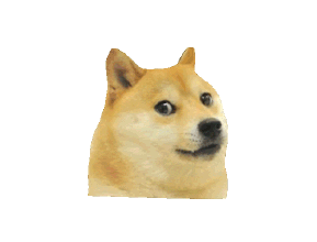 看我 doge 旋转360度