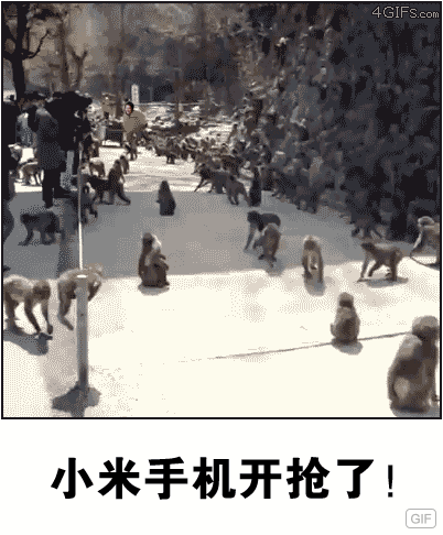 4GIFS.C小米手机开抢了!