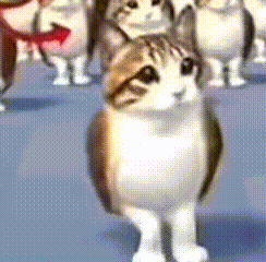 猫头鹰小猫表情包