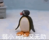 弱小可怜又无助