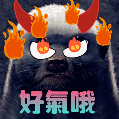 好气哦