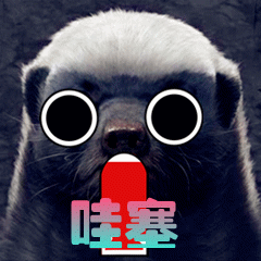 哇塞