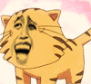 金馆长老虎