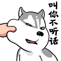 叫你不听话！！！