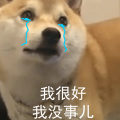 柴犬小Q来斗图