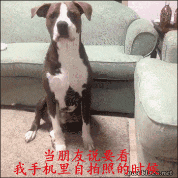 当朋友说要看我手机里自拍照的时候