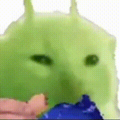 外星小猫gif表情包