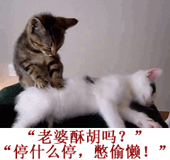 老婆，酥胡吗？停什么停，憋偷懒！