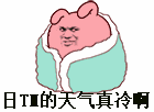 日 TM 的天气真冷啊