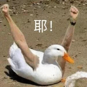 耶(鸭子)